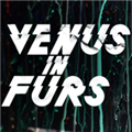 Venus In Furs