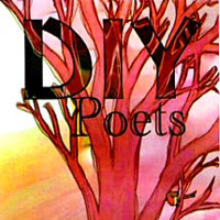DIY Poets present...A Night of Poetry and Live Music