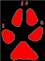red cub