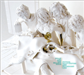 Fiction, Half Truths and Downright Lies - CD Album