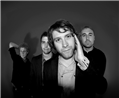 The Amateurs