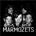 Marmozets