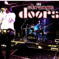 The Strange Doors; Doors tribute band