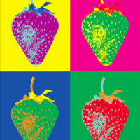 The Lightning Seeds