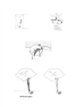 Outbreeding Poster 2