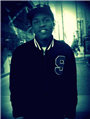 Will StyleZ