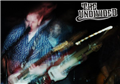 The Undivided